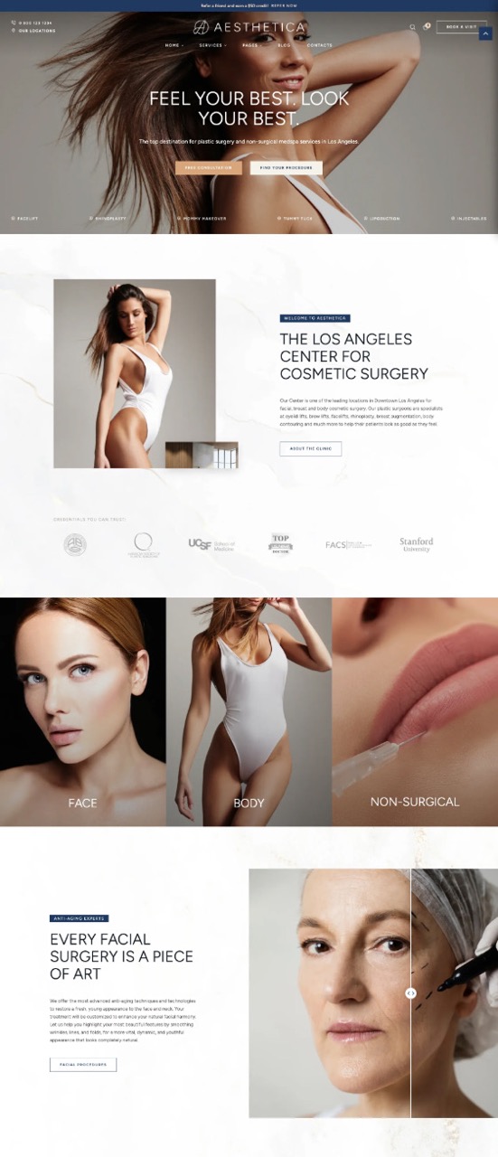 Aesthetica Light Theme